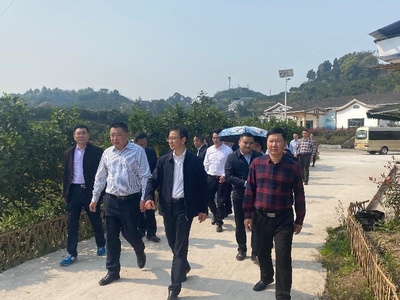 瀘州市委統(tǒng)戰(zhàn)部赴合江縣調(diào)研涉臺產(chǎn)業(yè)發(fā)展，聚焦稻谷產(chǎn)業(yè)合作與鄉(xiāng)村振興