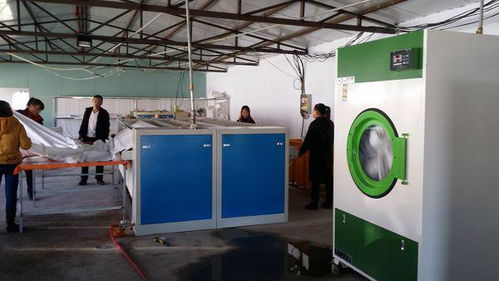 開辦開水洗廠的盈利潛力與投資成本分析