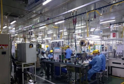 私家車、閑置房與“低收入人群”標簽 理解當下經濟現象的多元視角